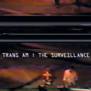 The surveillance
